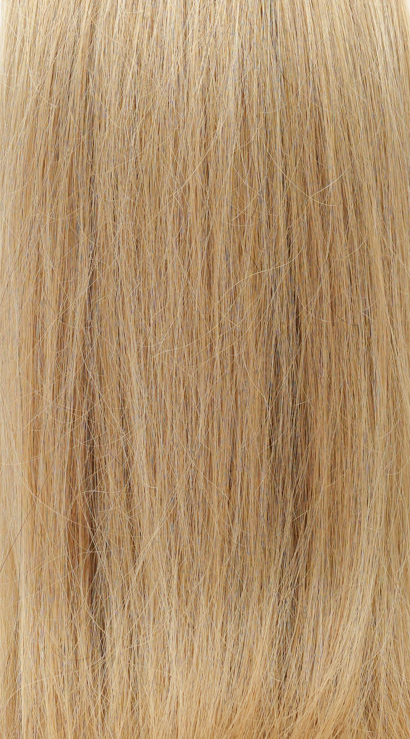 TESSITURA LISCIA 100GR - 24 - Pfe Extension Luxury Hair